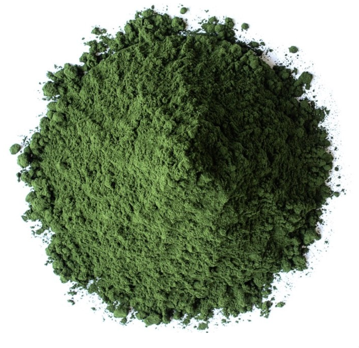 Chlorella