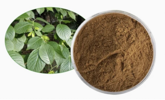 Eucommia Bark Extract