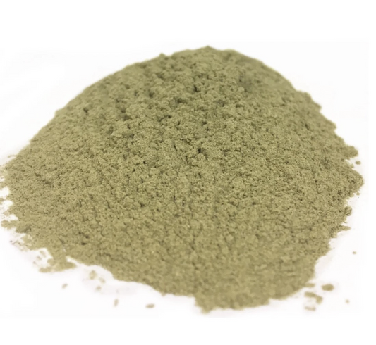 Nepeta Cataria (Catnip)