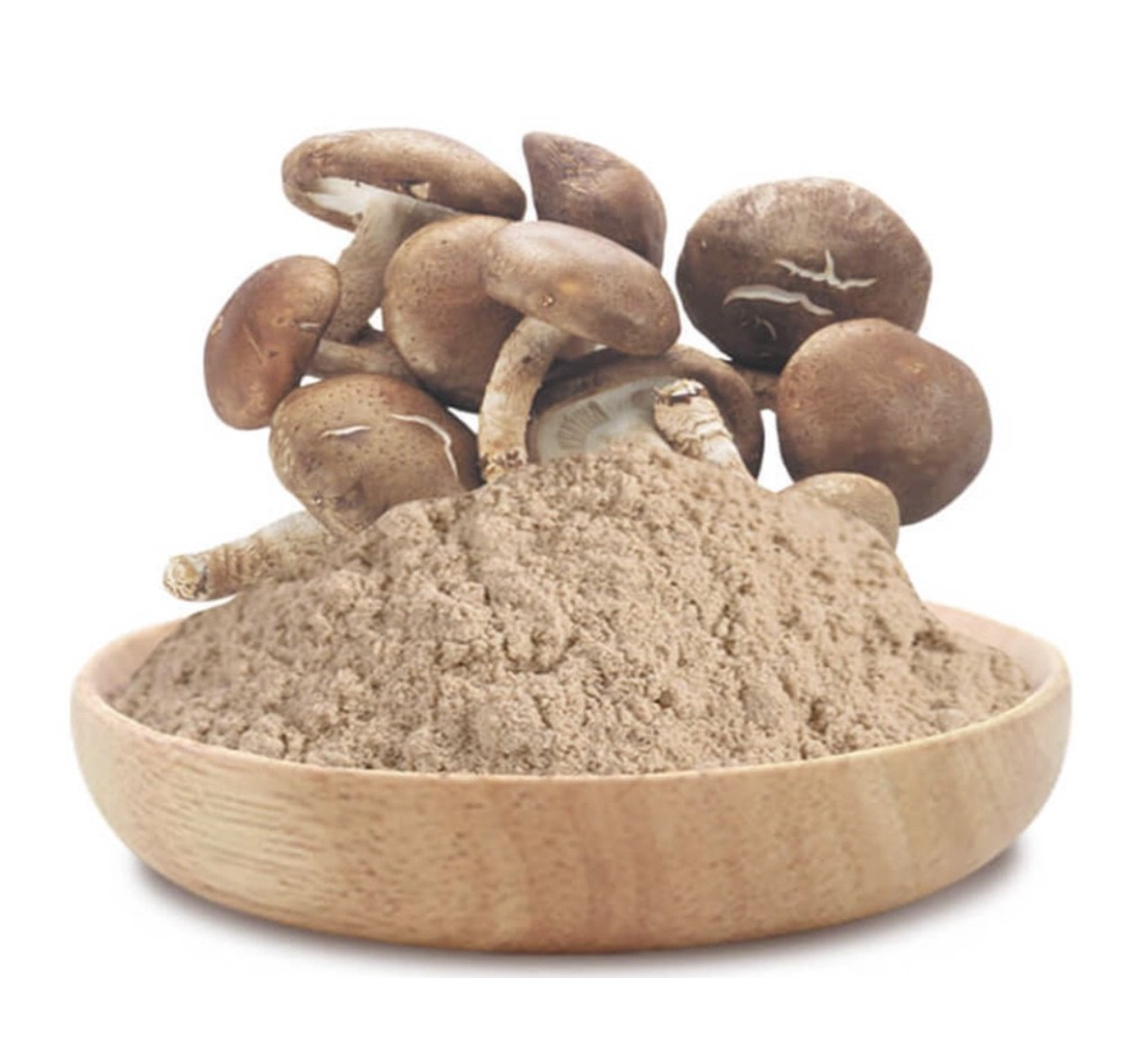 Shiitake Mushroom