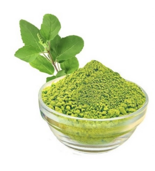 Tulsi (Holy Basil)